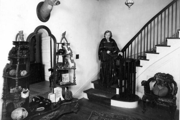 Image from the Nut Museum of lady on stairs in Museum